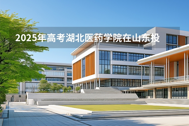 2025年高考湖北医药学院在山东投档分数线（2026参考）