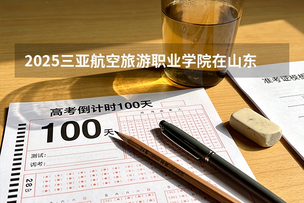 2025三亚航空旅游职业学院在山东艺术类投档分数线（2026年参考）