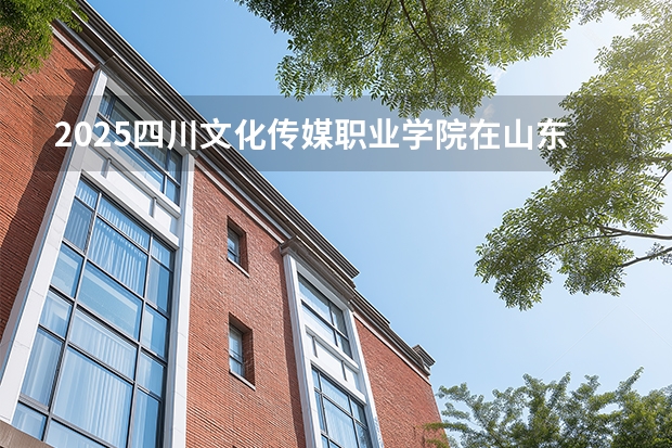 2025四川文化传媒职业学院在山东艺术类投档分数线（2026年参考）