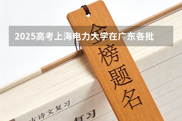 2025高考上海电力大学在广东各批次选科要求介绍（2026参考） 