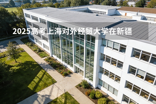 2025高考上海对外经贸大学在新疆各批次选科要求介绍（2026参考） 