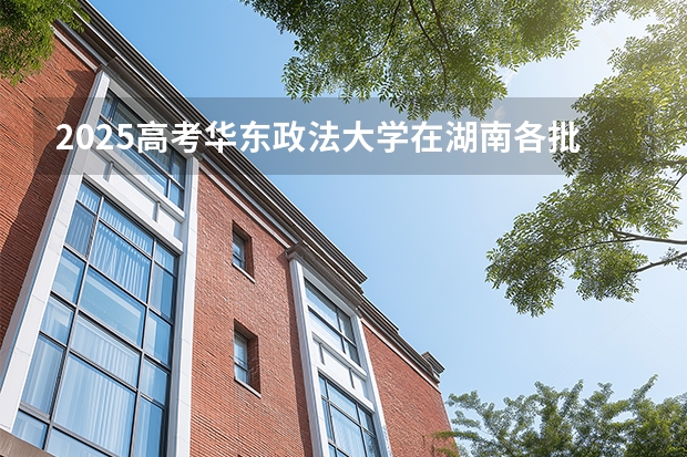 2025高考华东政法大学在湖南各批次选科要求介绍（2026参考） 