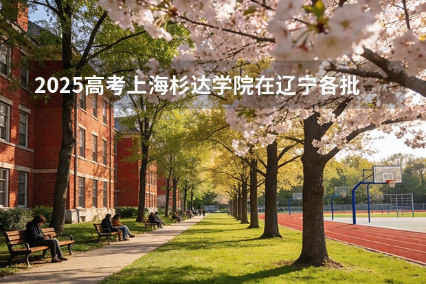 2025高考上海杉达学院在辽宁各批次选科要求介绍（2026参考） 