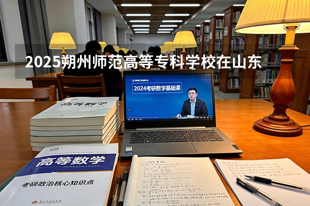 2025朔州师范高等专科学校在山东艺术类投档分数线（2026年参考）