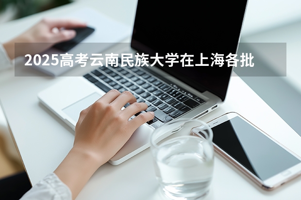2025高考云南民族大学在上海各批次选科要求介绍（2026参考） 