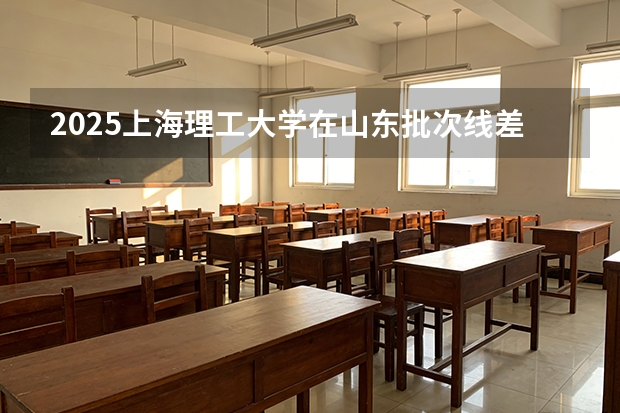 2025上海理工大学在山东批次线差