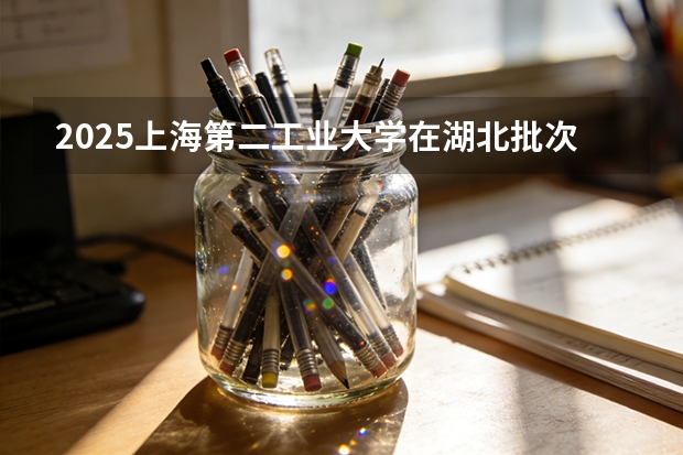 2025上海第二工业大学在湖北批次线差