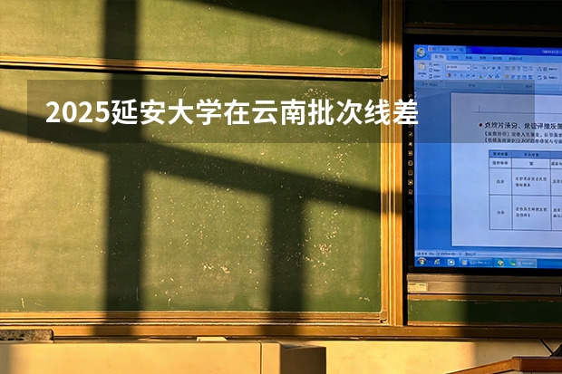 2025延安大学在云南批次线差