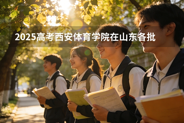 2025高考西安体育学院在山东各批次选科要求介绍（2026参考） 