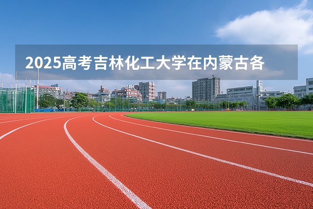 2025高考吉林化工大学在内蒙古各批次选科要求介绍（2026参考） 