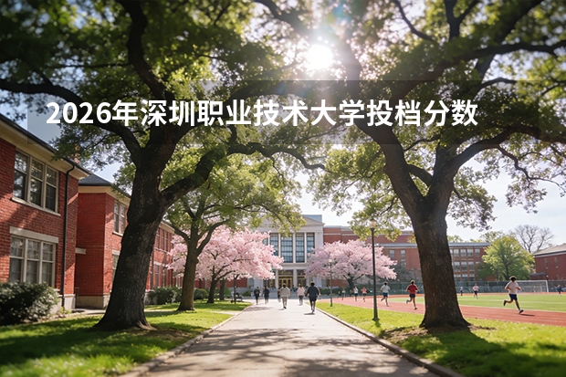 2026年深圳职业技术大学投档分数线参考：新生报到流程与生活费用详解