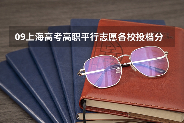 09上海高考高职平行志愿各校投档分数线8月4日公布 上海：高招高职（专科）批次平行志愿投档相关政策的说明